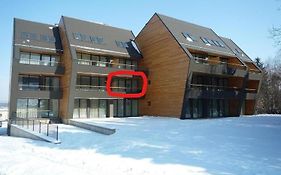 Apartma Runi Pod Zlato Lisico
